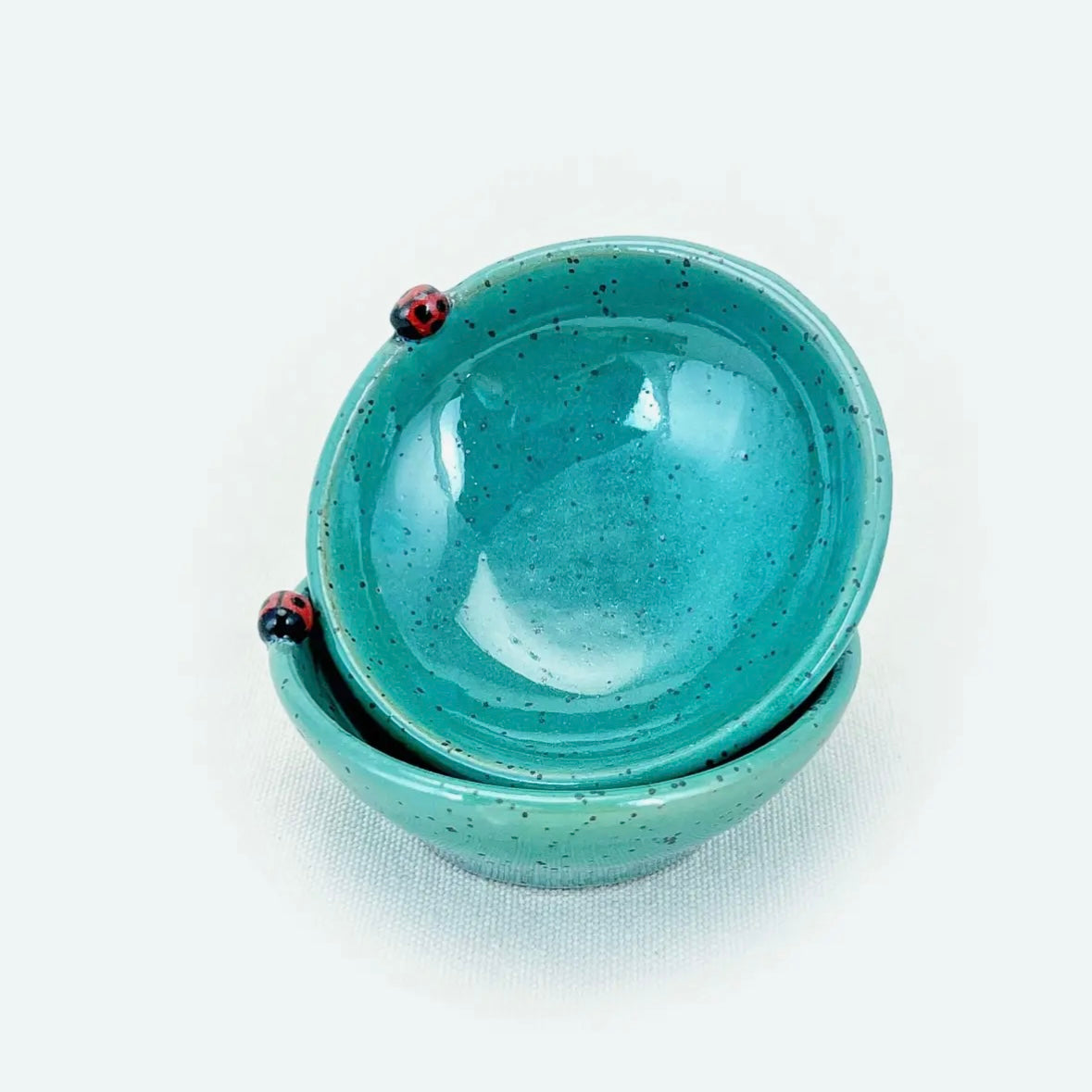 Bug Pottery Spice Bowl