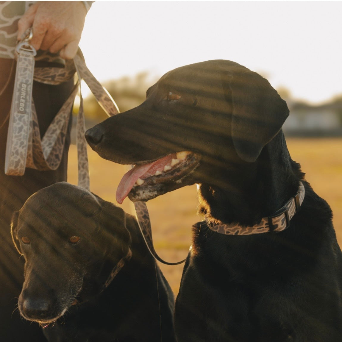 Burlebo Dog Leash