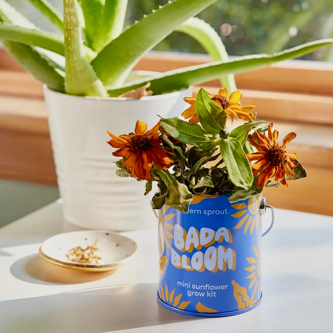 Complimentary Color Grow Kits