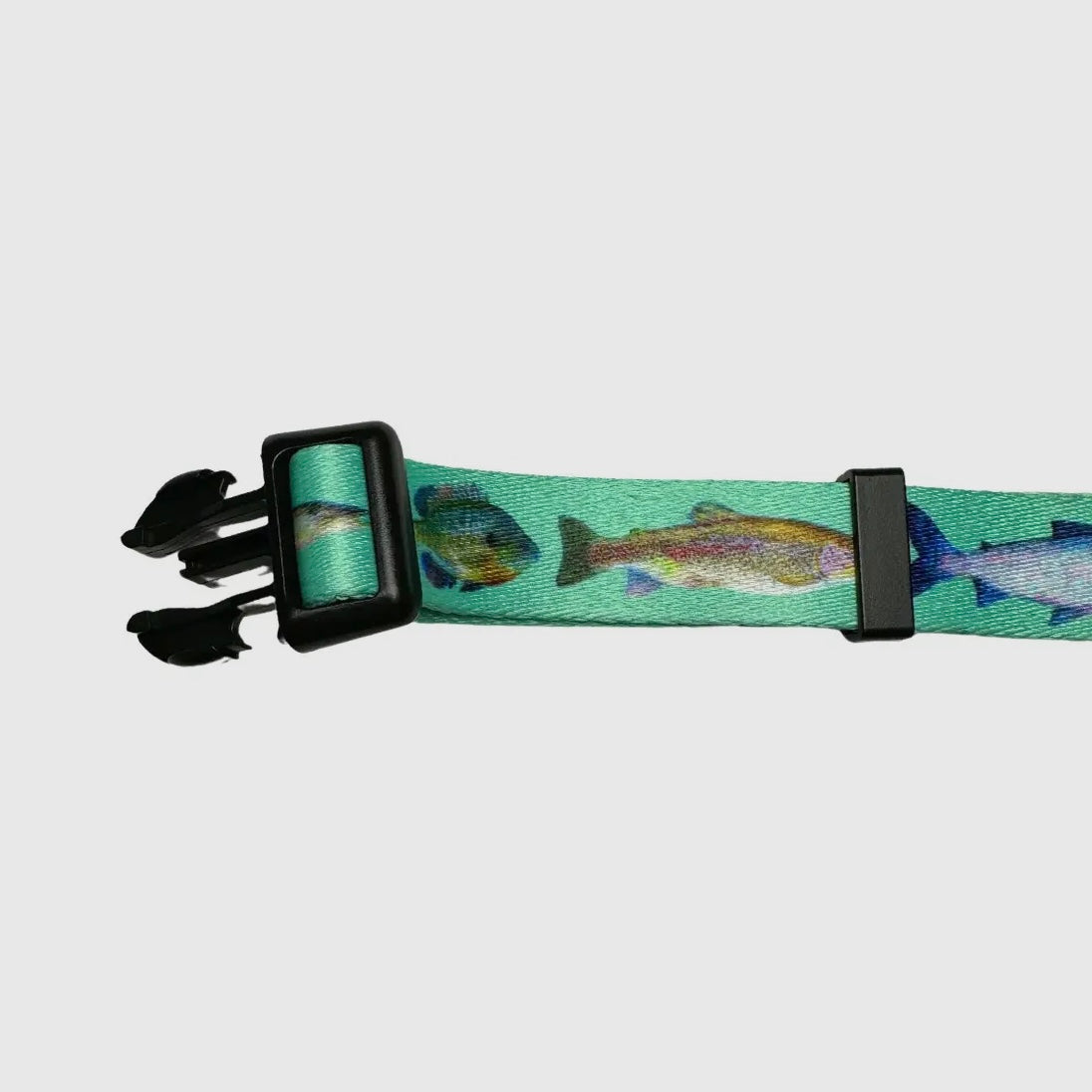 Wild Lettie Fish Collar