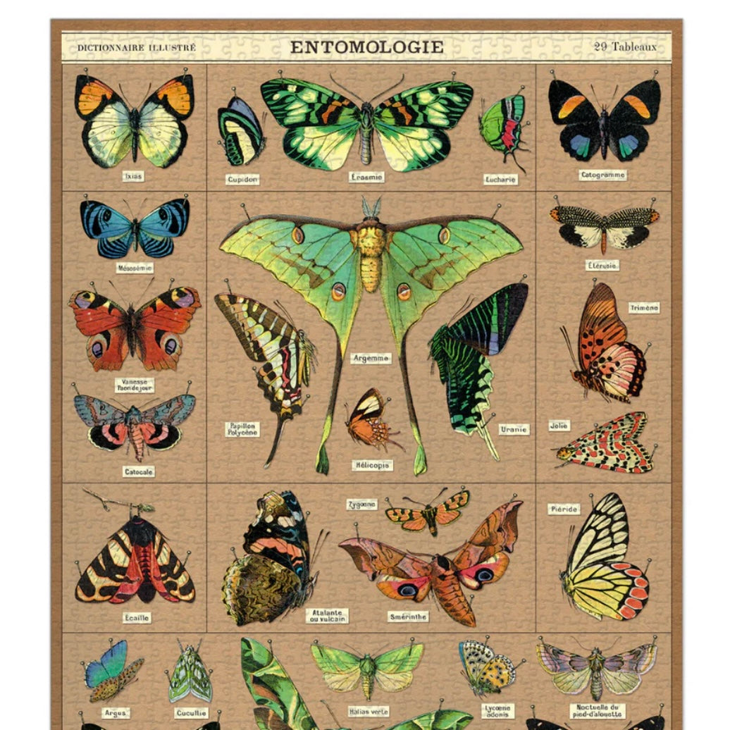 Cavallini & Co Entomologie - 1,000 Piece Puzzle