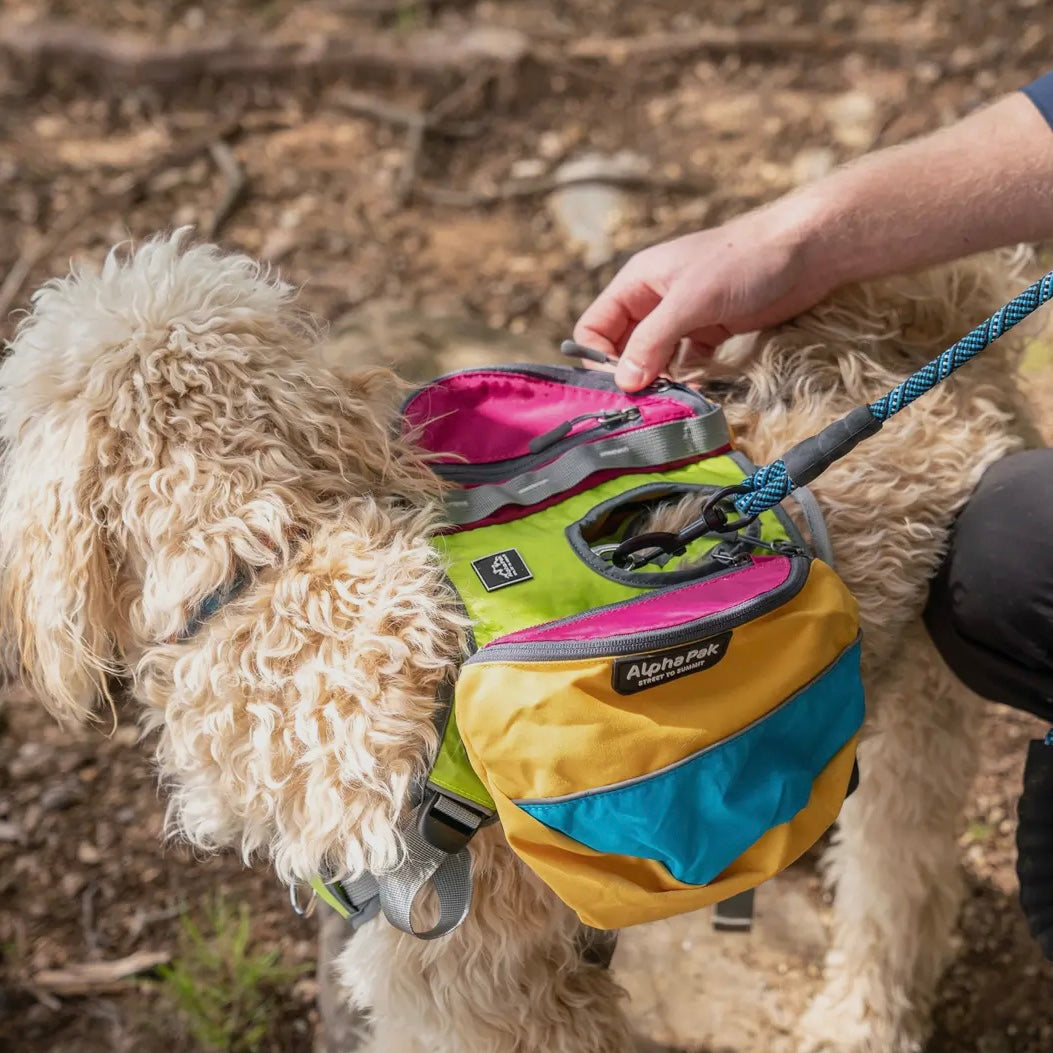 AlphaPak Adventurer 2-piece Dog Pack With EZ Latch™ Harness - RETRO