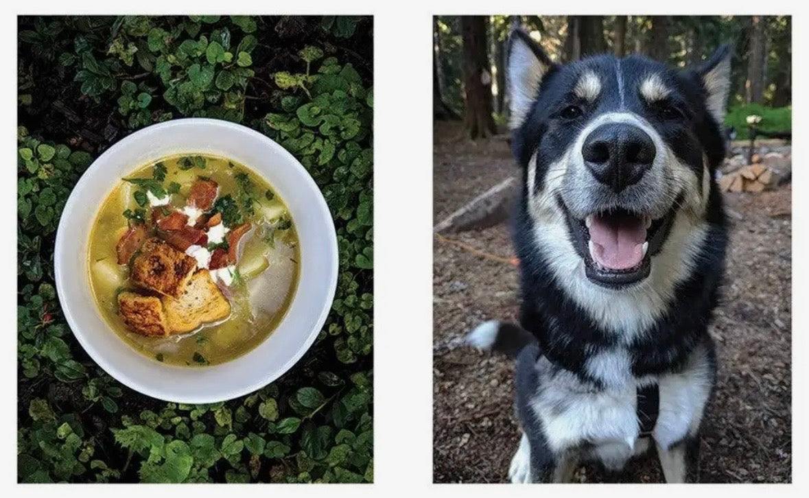 Great Outdoors Cookbook: Over 100 Recipes For the Trail
