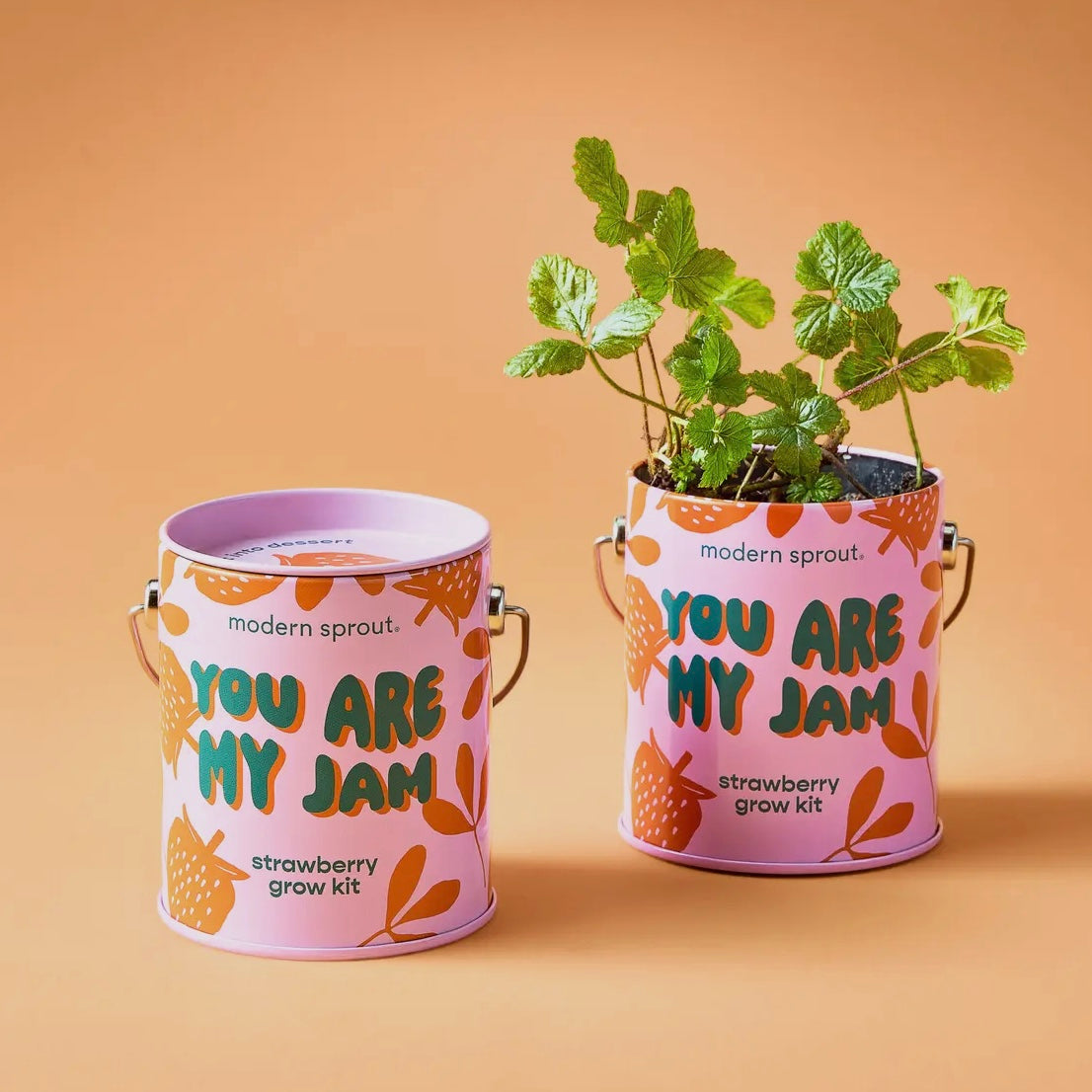 Complimentary Color Grow Kits