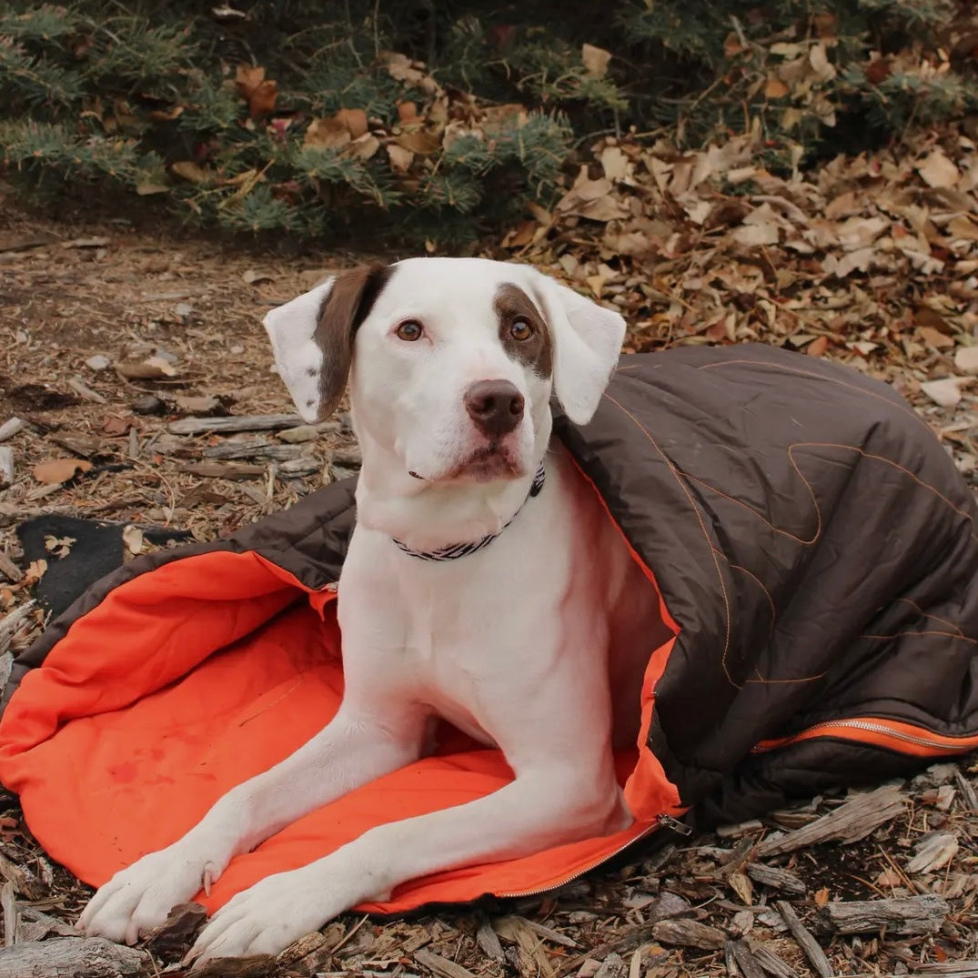 AlphaPak Nova Dog Sleeping Bag