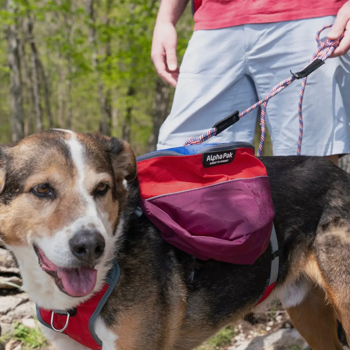 AlphaPak Adventurer 2-piece Dog Pack With EZ Latch™ Harness - SUNSET