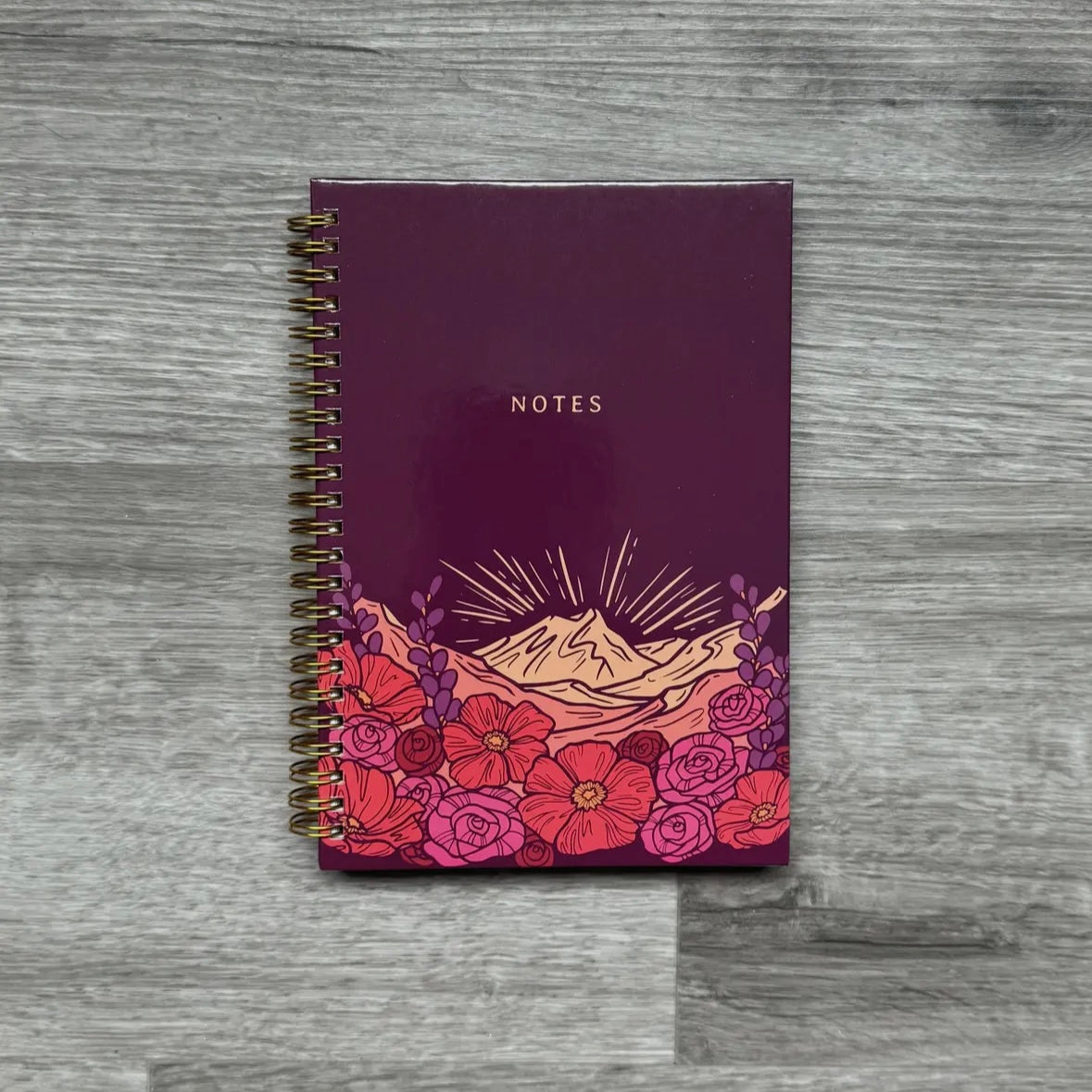 The Montana Scene Spiral Notebooks