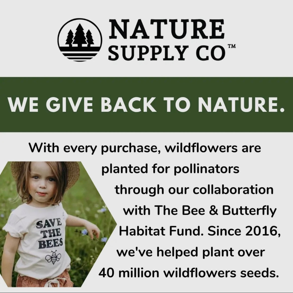 Nature Supply Co. Not All Classrooms Have Four Walls T Shirt