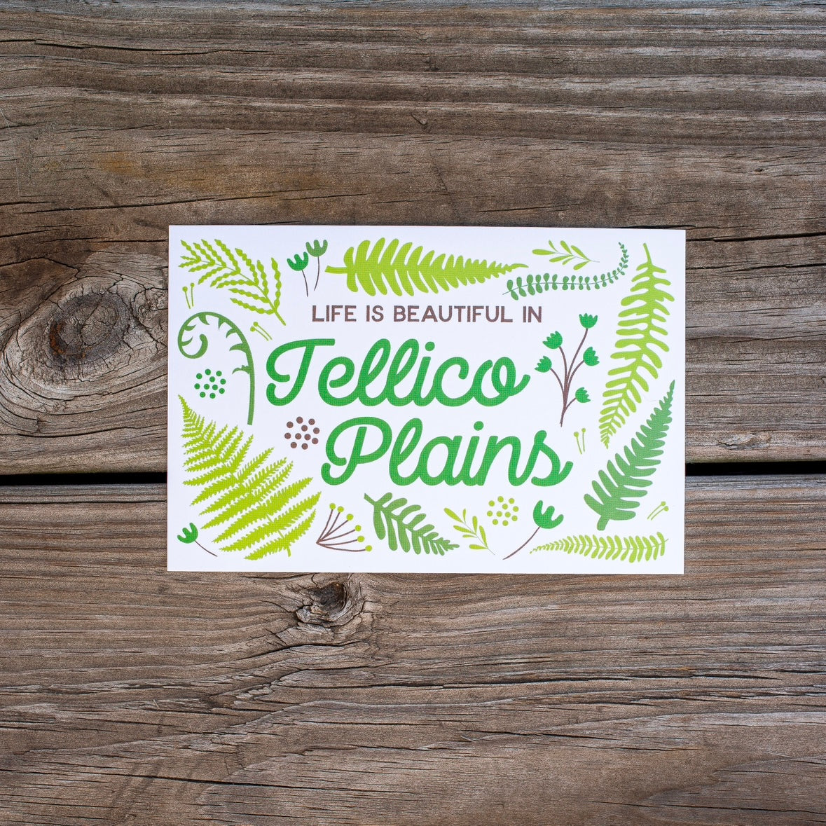 Life is beautiful in Tellico Plains Postcard - Ferns