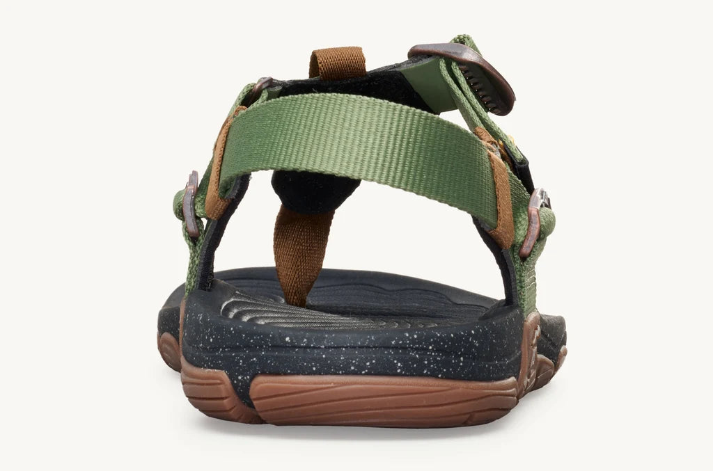 Lems Switchback Cactus