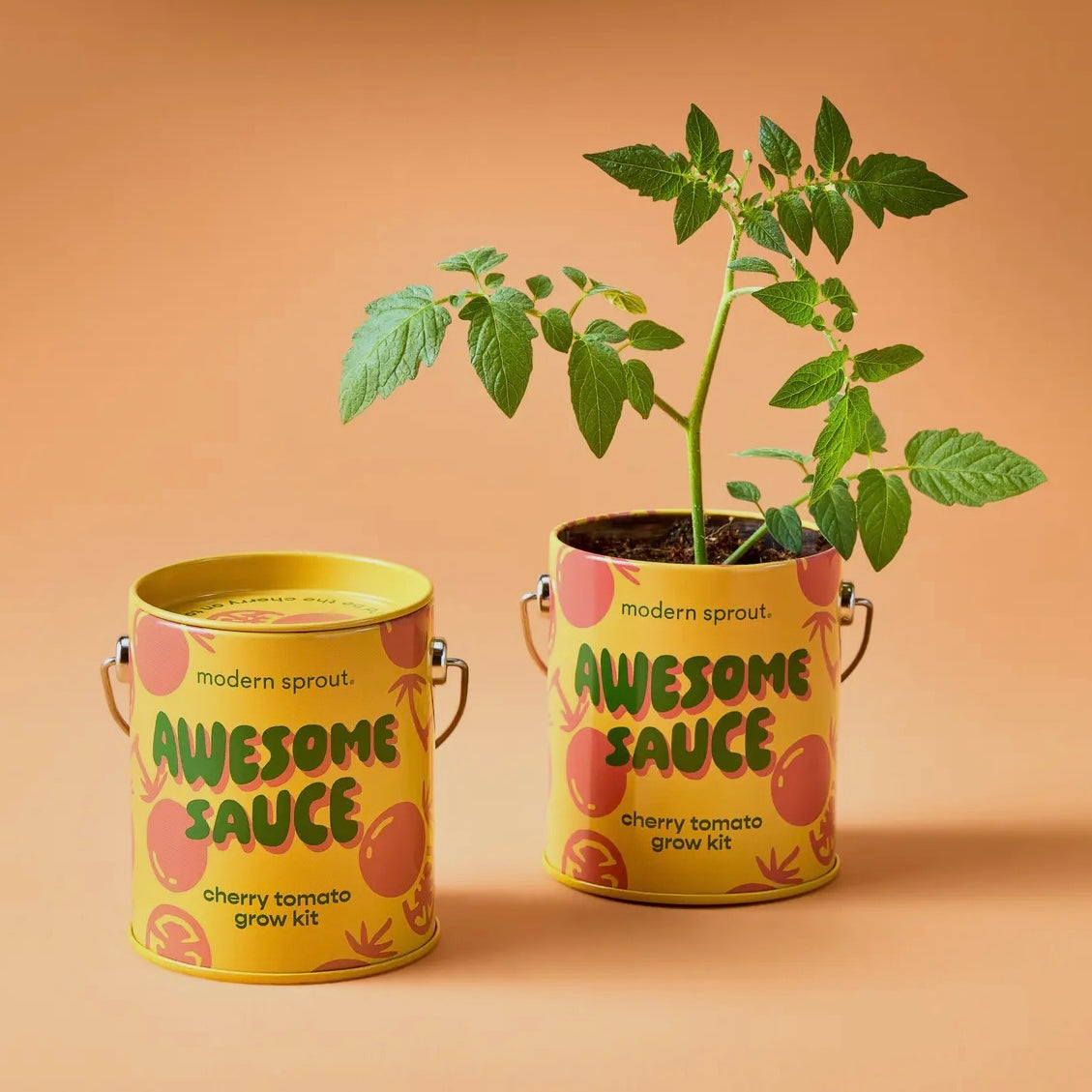 Complimentary Color Grow Kits
