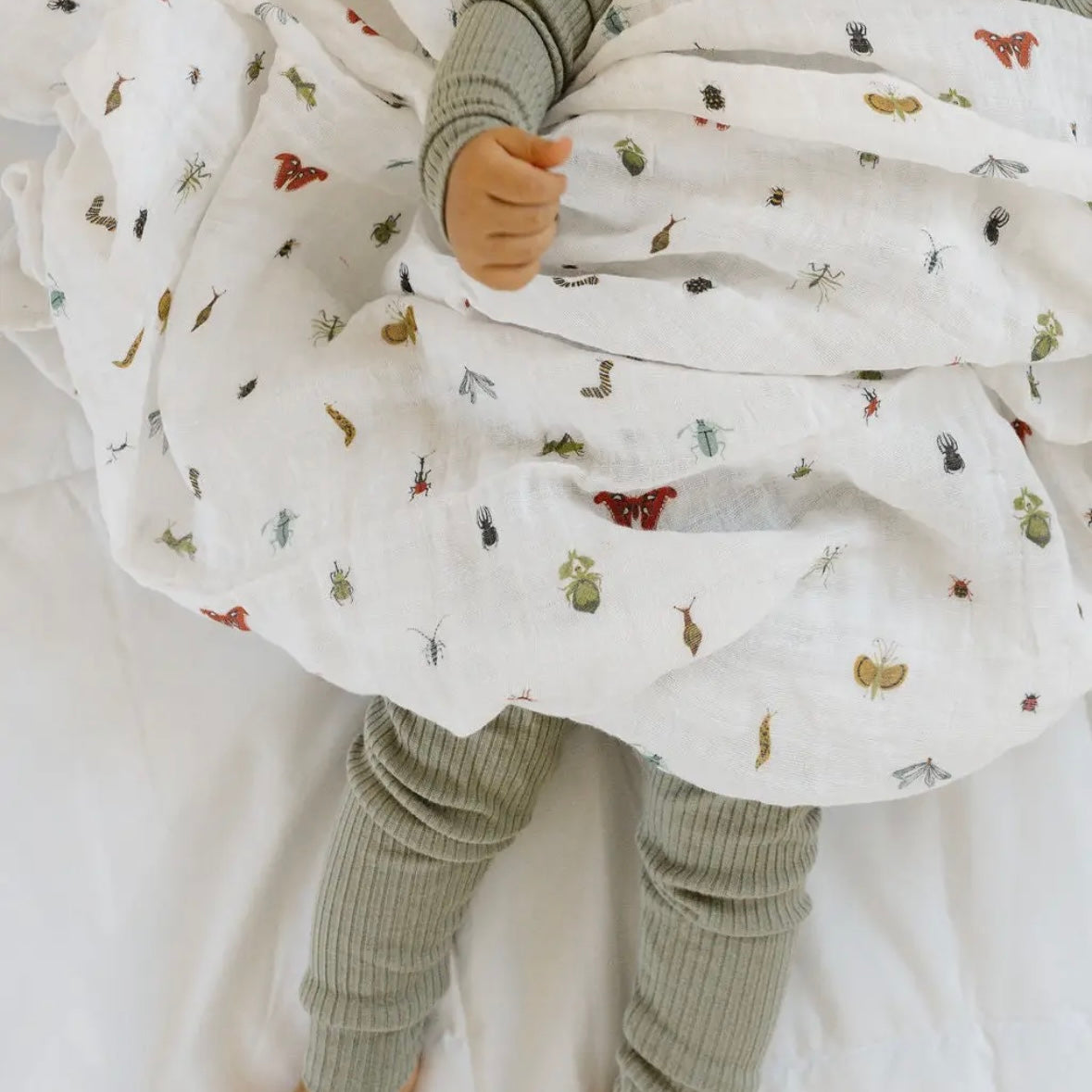 Clementine Kids Swaddles