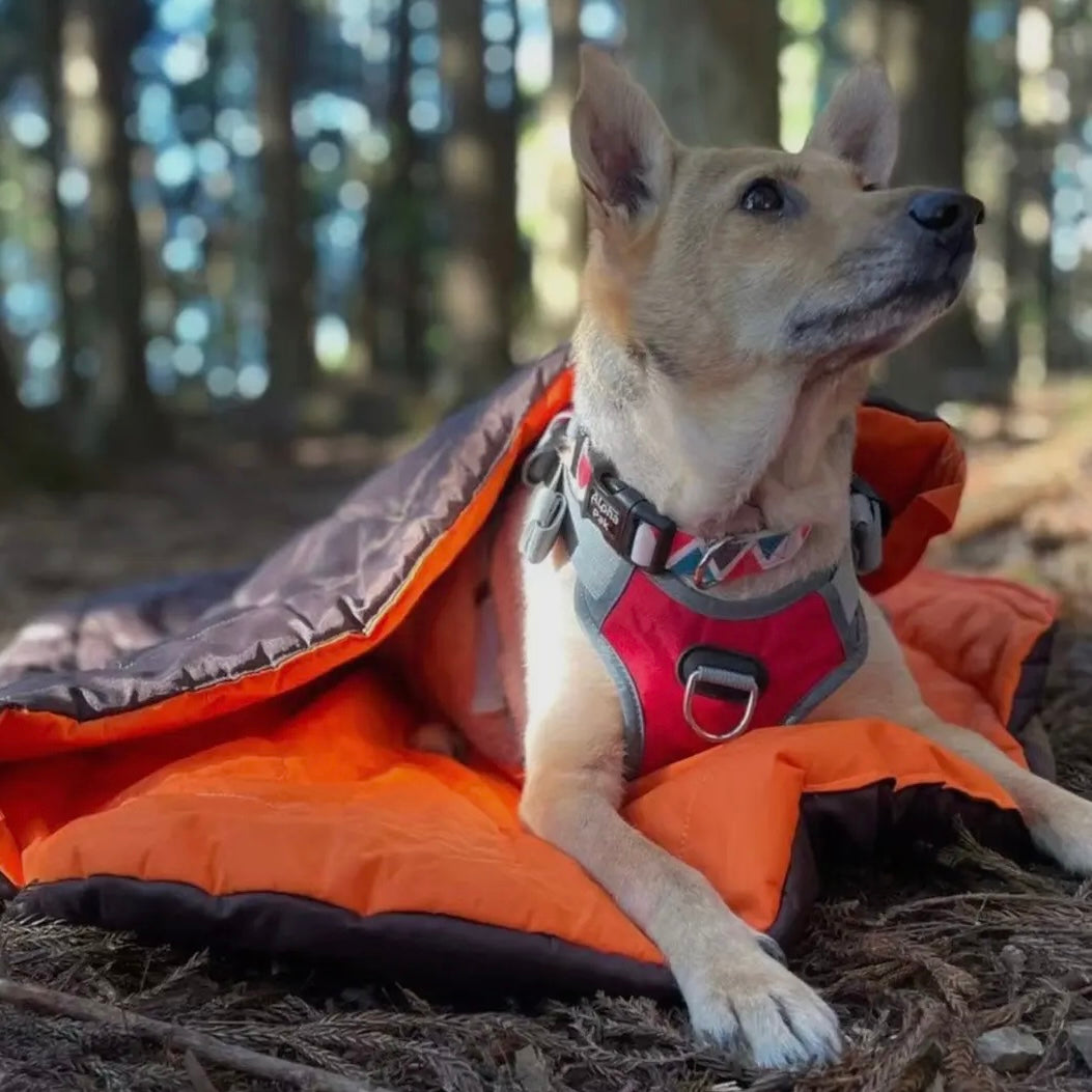 AlphaPak Nova Dog Sleeping Bag