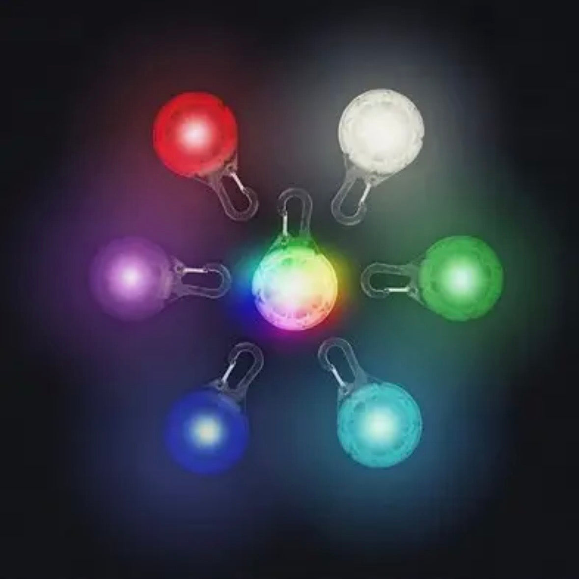 Nite Ize Spotlit® Collar Light - Disc-O Select™