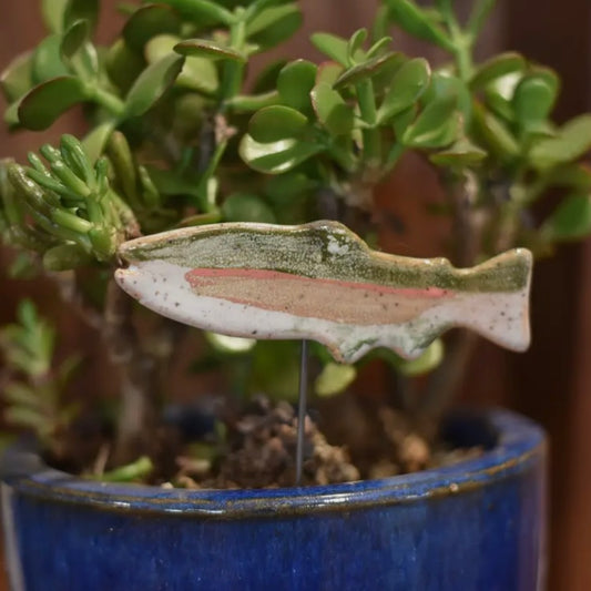 Plant Buddies - Fish