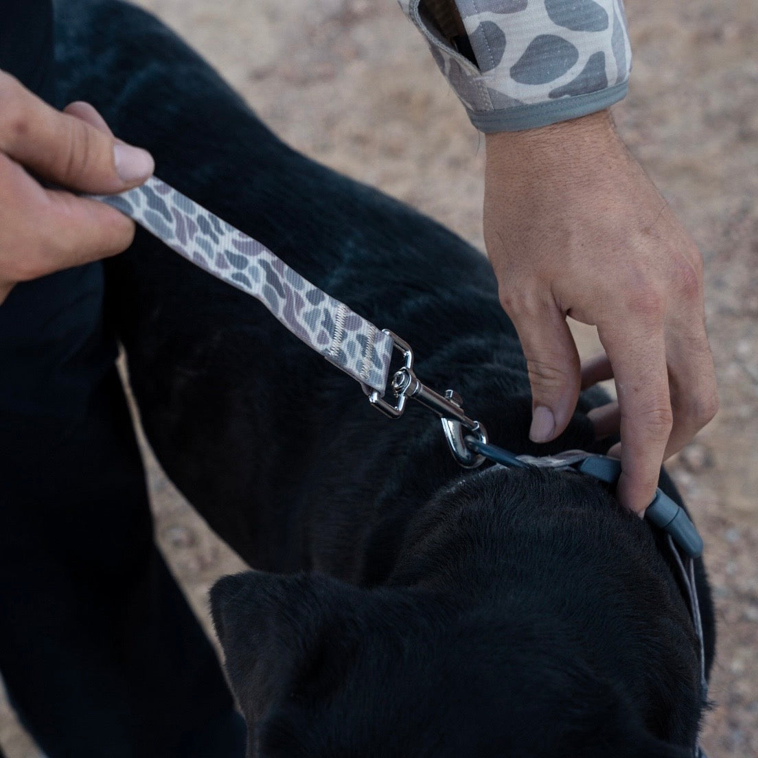 Burlebo Dog Leash