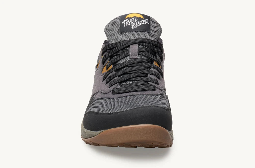 Lems Trail Blazer Knightfall