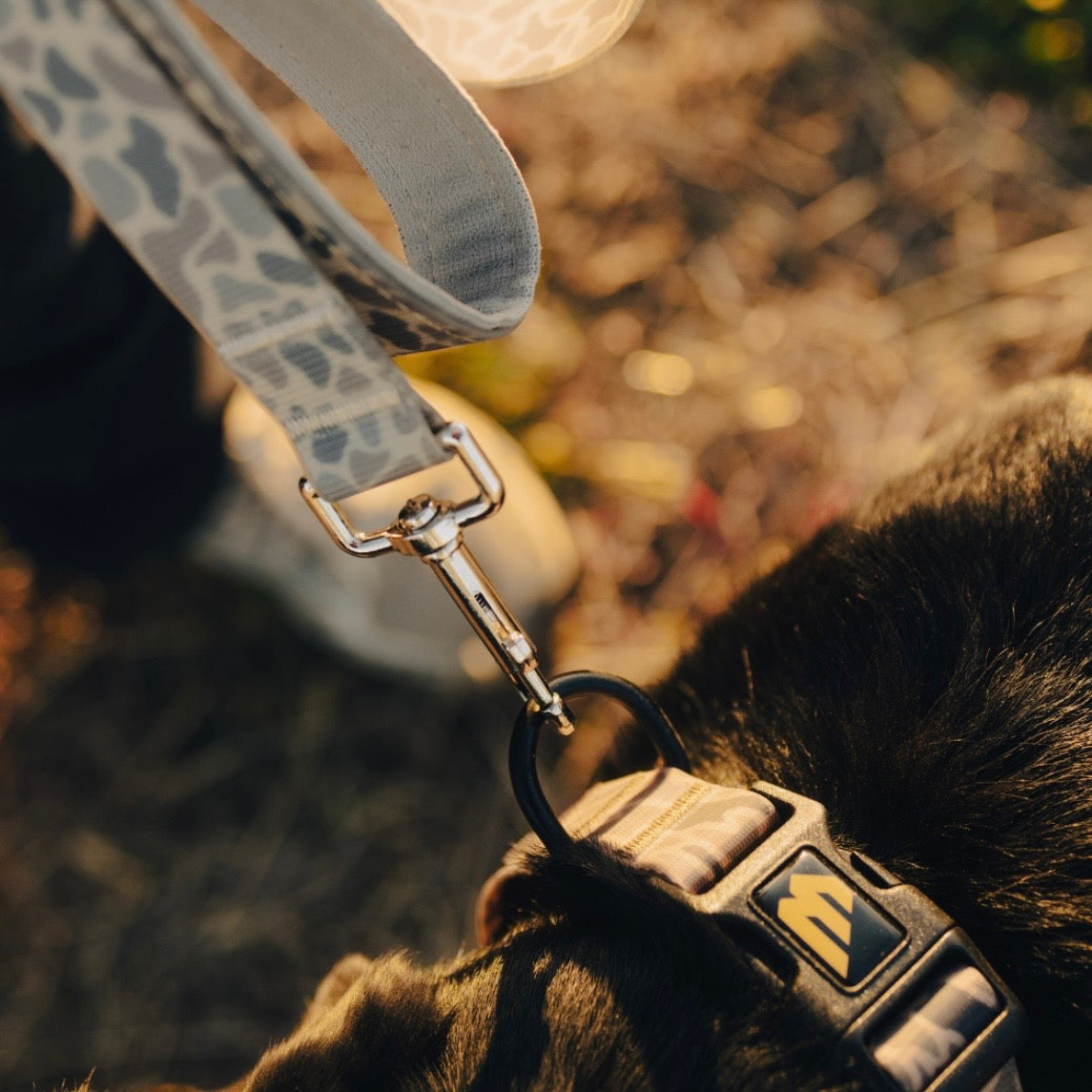 Burlebo Dog Leash