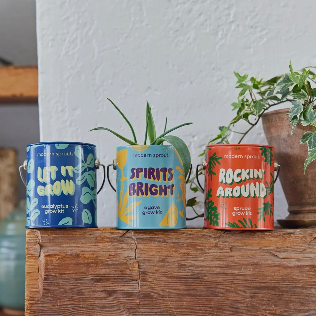 Holiday Complimentary Colors
Grow Kits