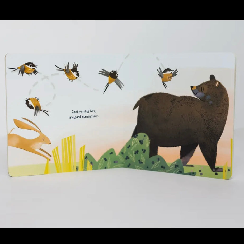 Good Morning, Mother Nature (Board Book)