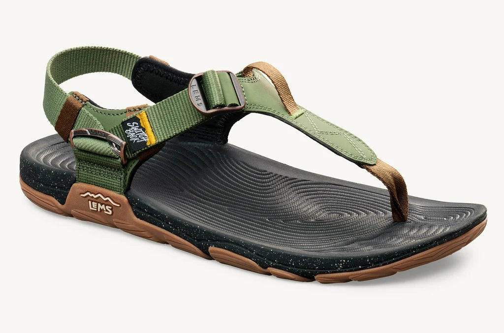 Lems Switchback Cactus