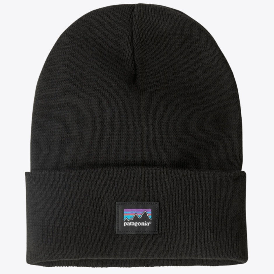 Patagonia Everyday Beanie