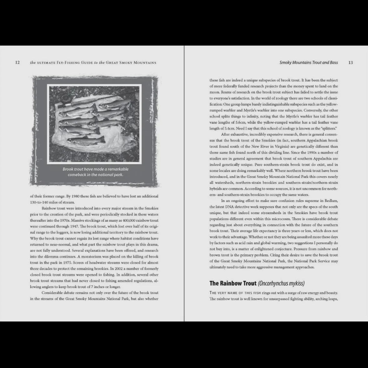 Ultimate Fly-Fishing Guide To the Great Smoky Mountains