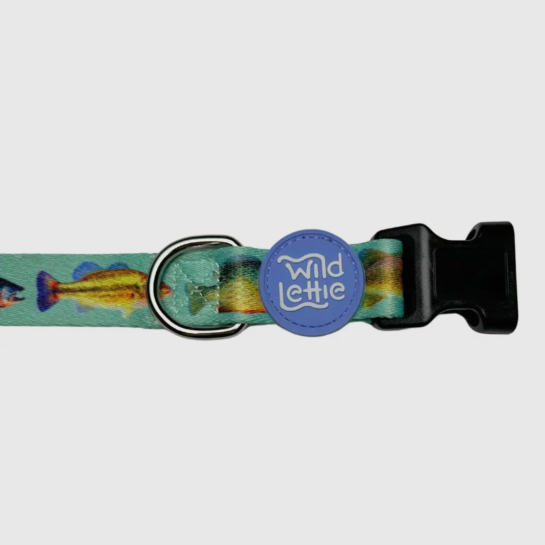 Wild Lettie Fish Collar