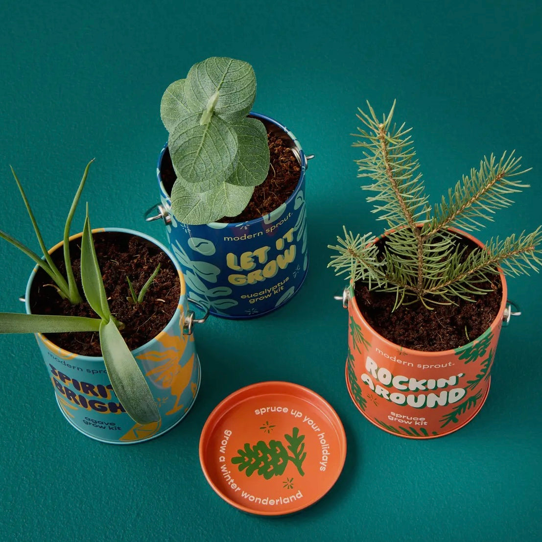Holiday Complimentary Colors
Grow Kits