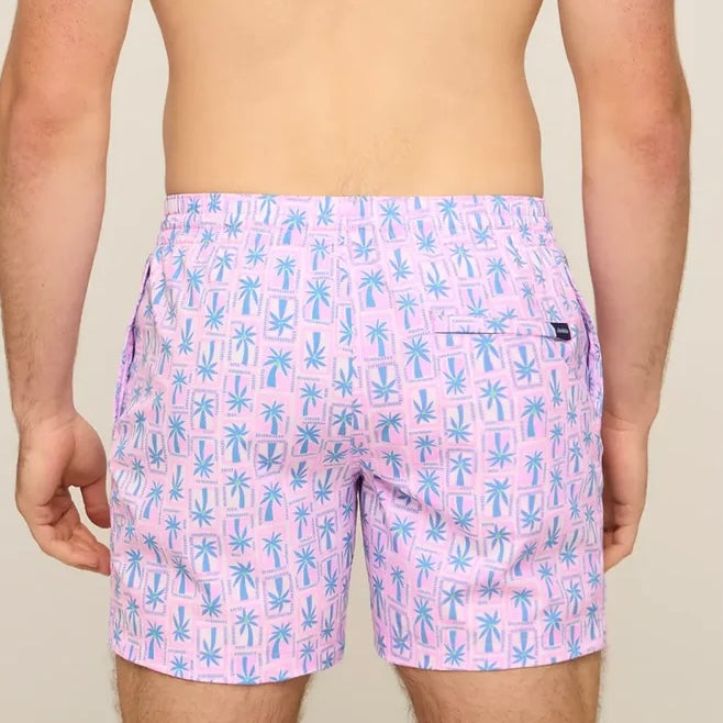 Chubbies Shorts - Classic Lined Swim Trunk 5.5"