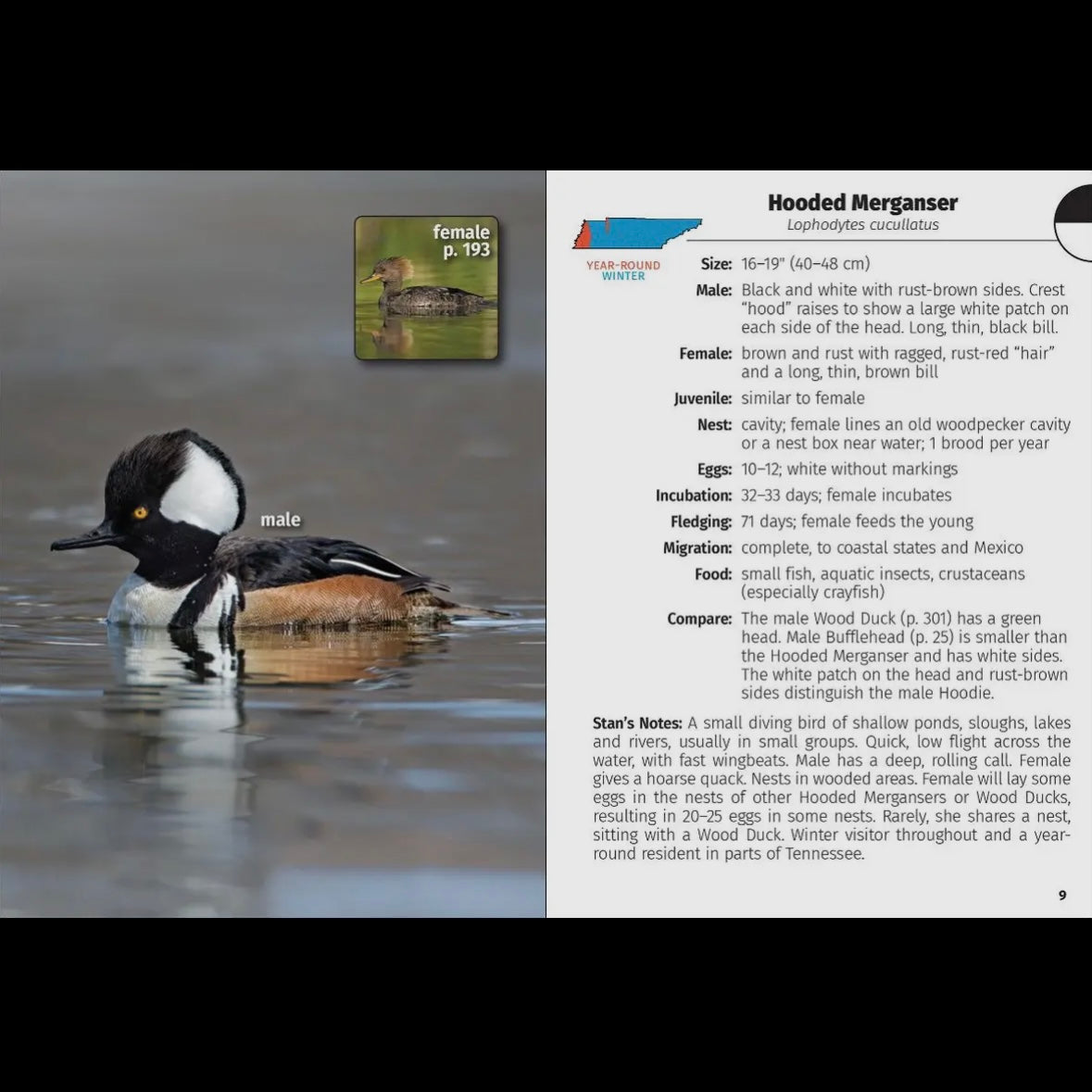 Birds of Tennessee Field Guide 2nd Edition by Stan Tekiela