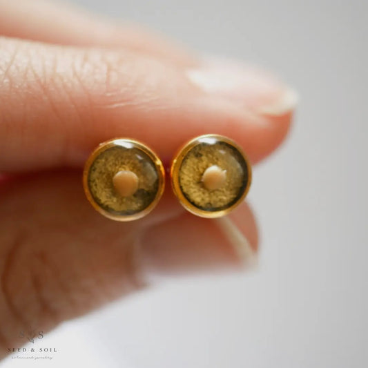 Seed & Soil Mustard Seed Studs
