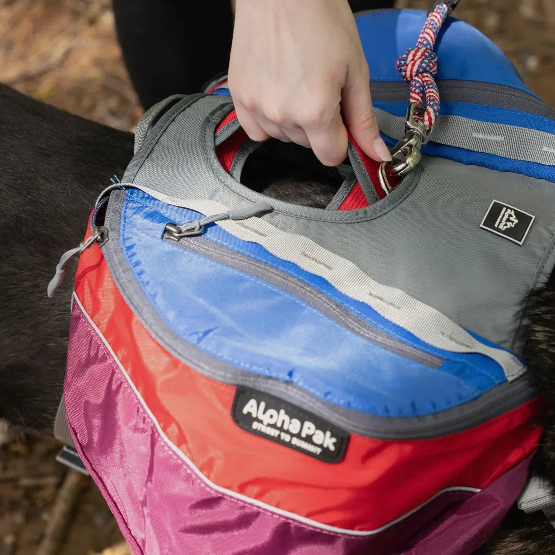 AlphaPak Adventurer 2-piece Dog Pack With EZ Latch™ Harness - SUNSET