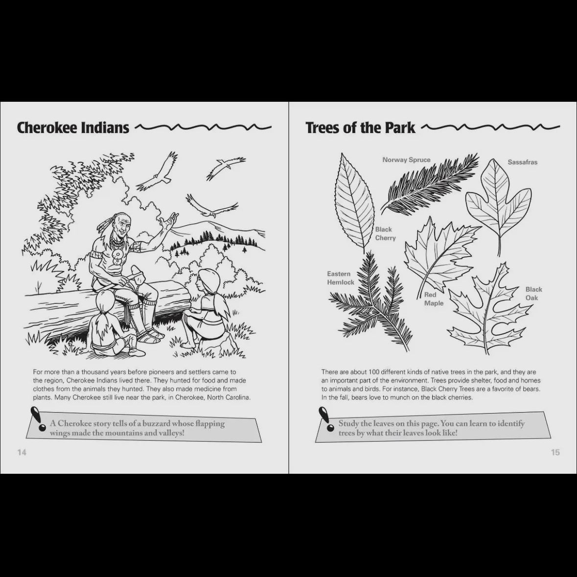 Great Smoky Mountains Activity Book